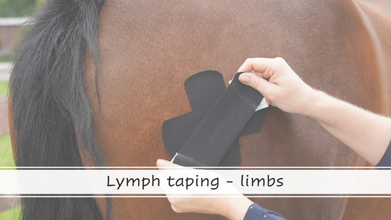 lymph leg tape